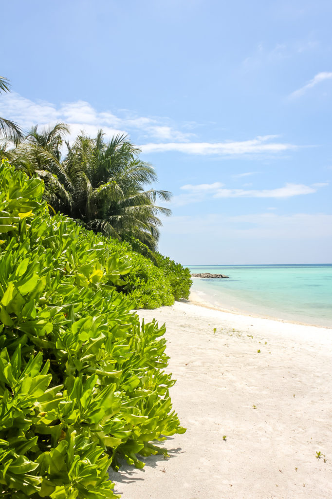 Maldives beach