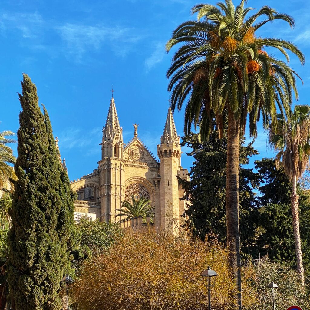 palma mallorca kathedrale