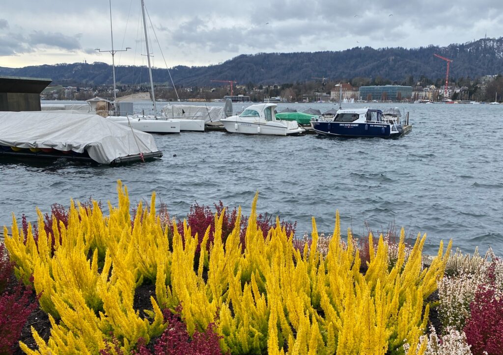 zürichsee