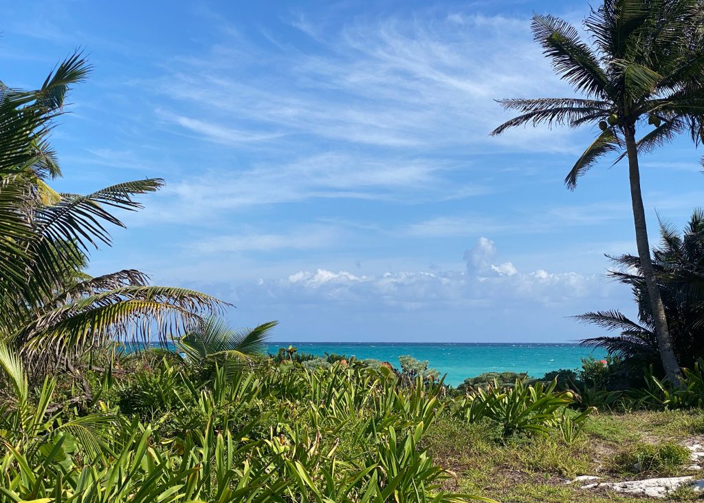 tulum meer palmen