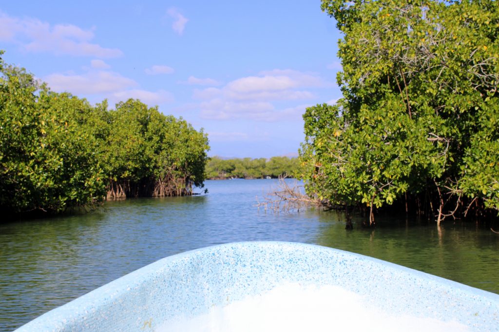 lagune barra de potosi