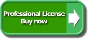 Buy now: professional license