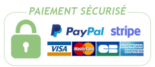 paypal-stripe
