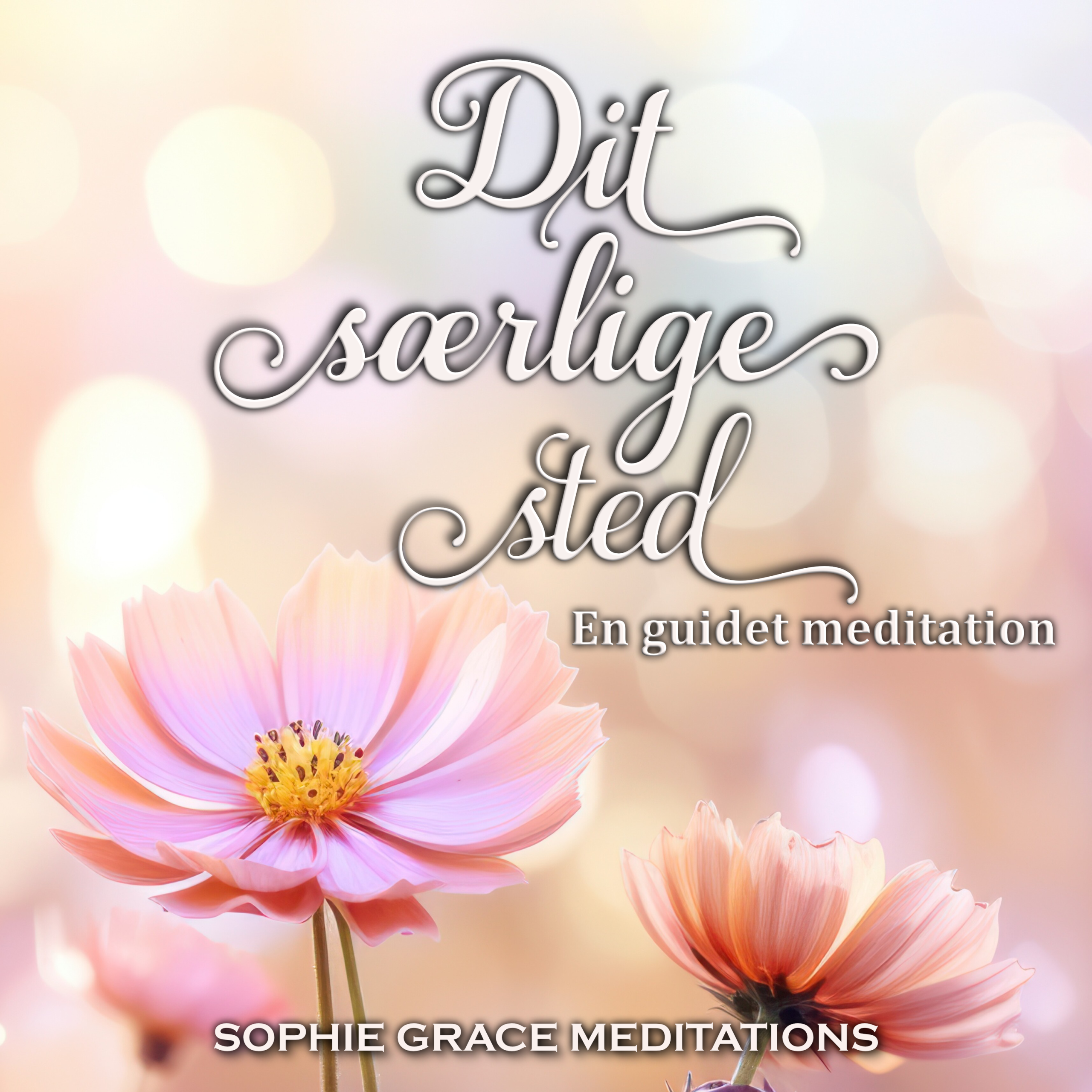 Cover Image for Dit særlige sted