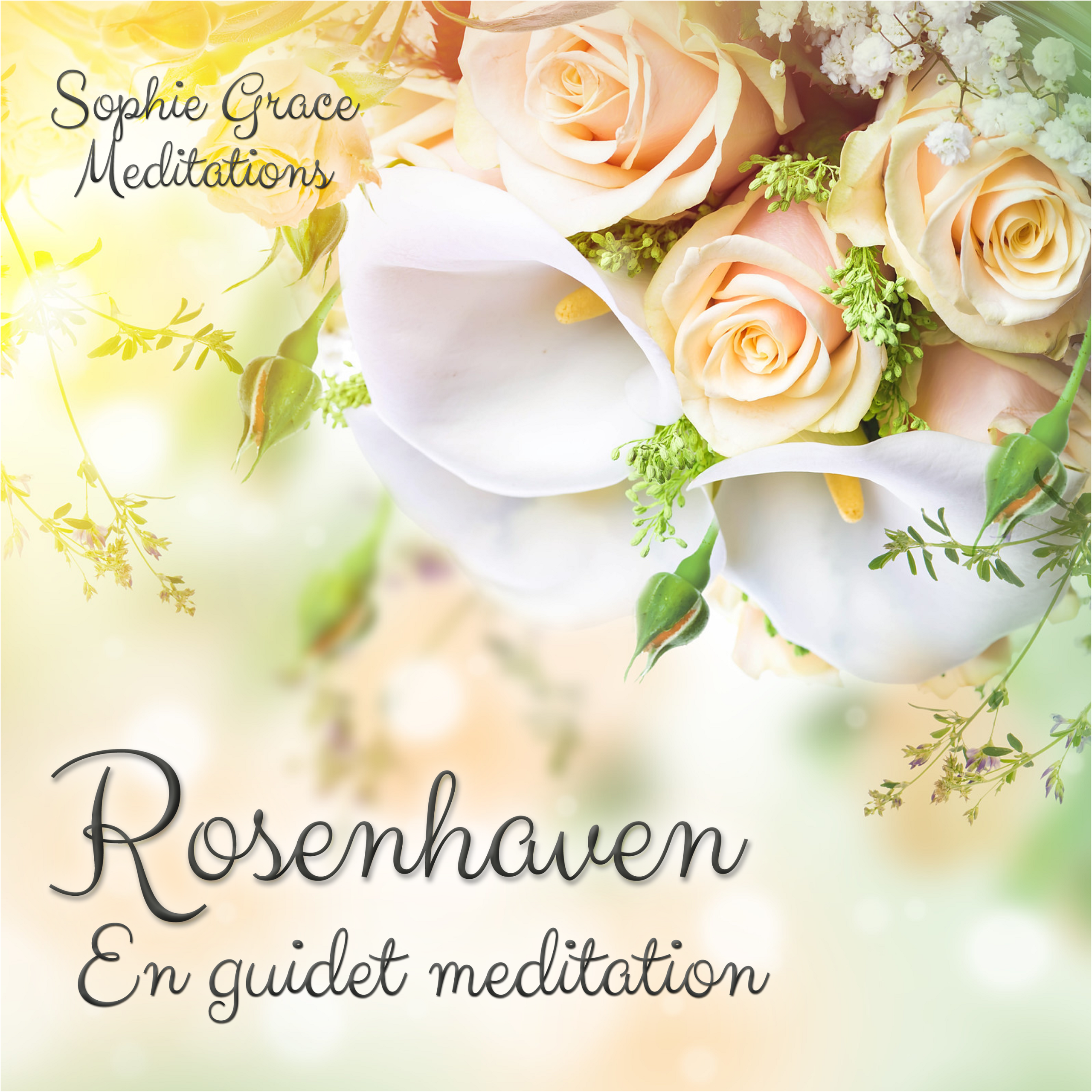 Cover Image for Rosenhaven
