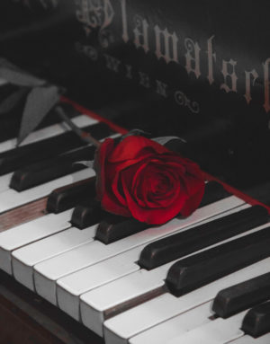 En röd ros ligger på ett piano
