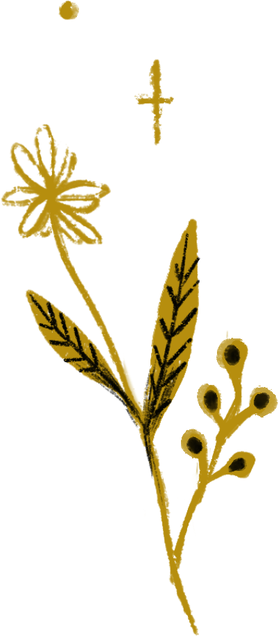 ornament_01