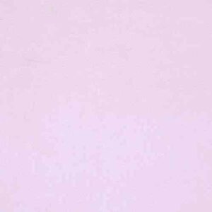 Plush Velvet Baby Pink 9