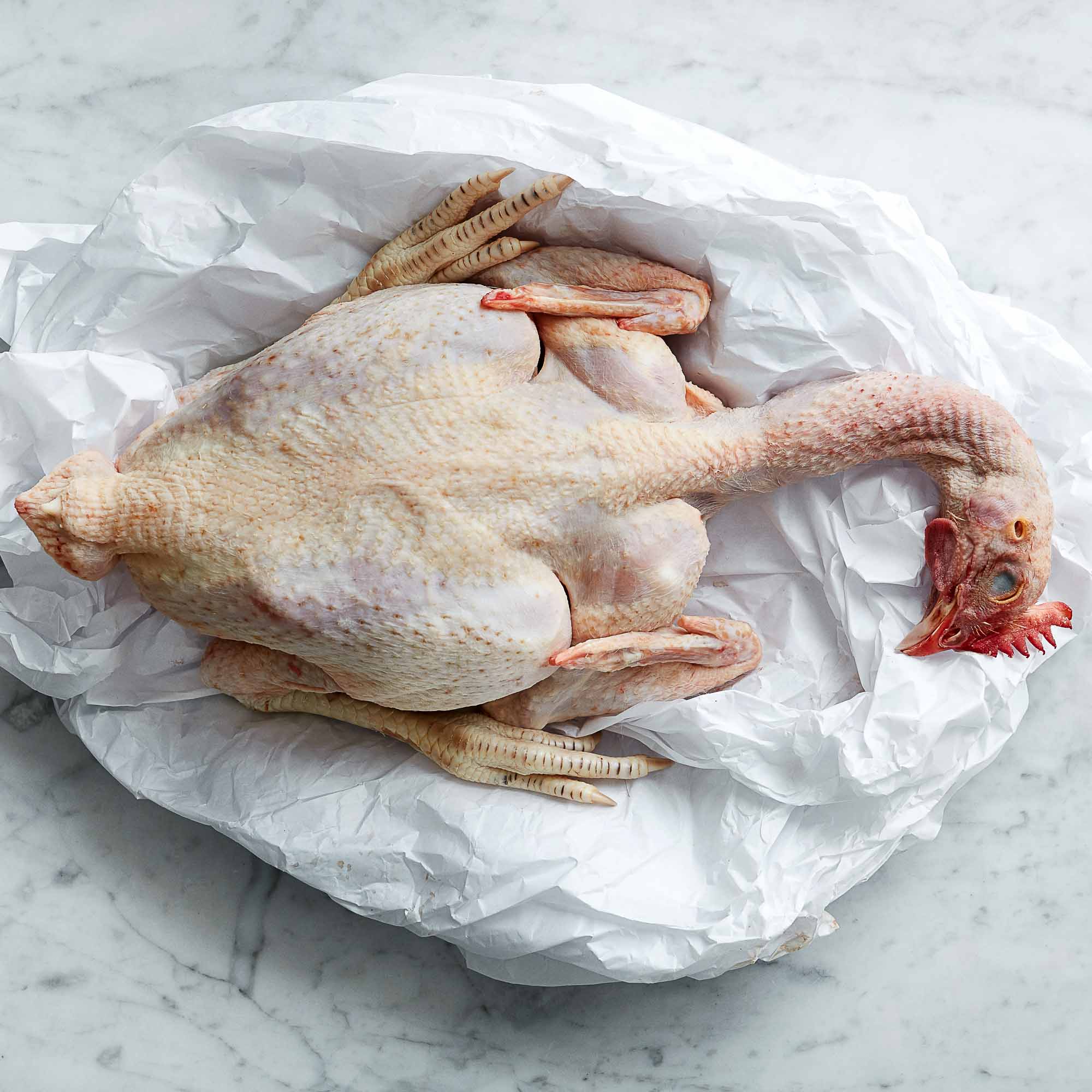 kylling_bresse_chris_kvadrat Sous vide 2.0