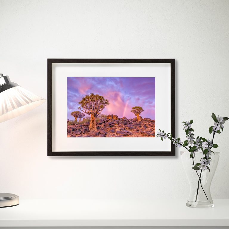 Fine-Art Prints