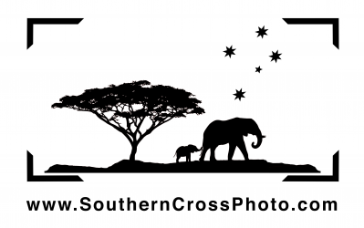 Southern Cross Photo