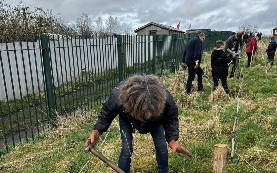 Green Community Initiative: Hedge Planting Success in West Park
