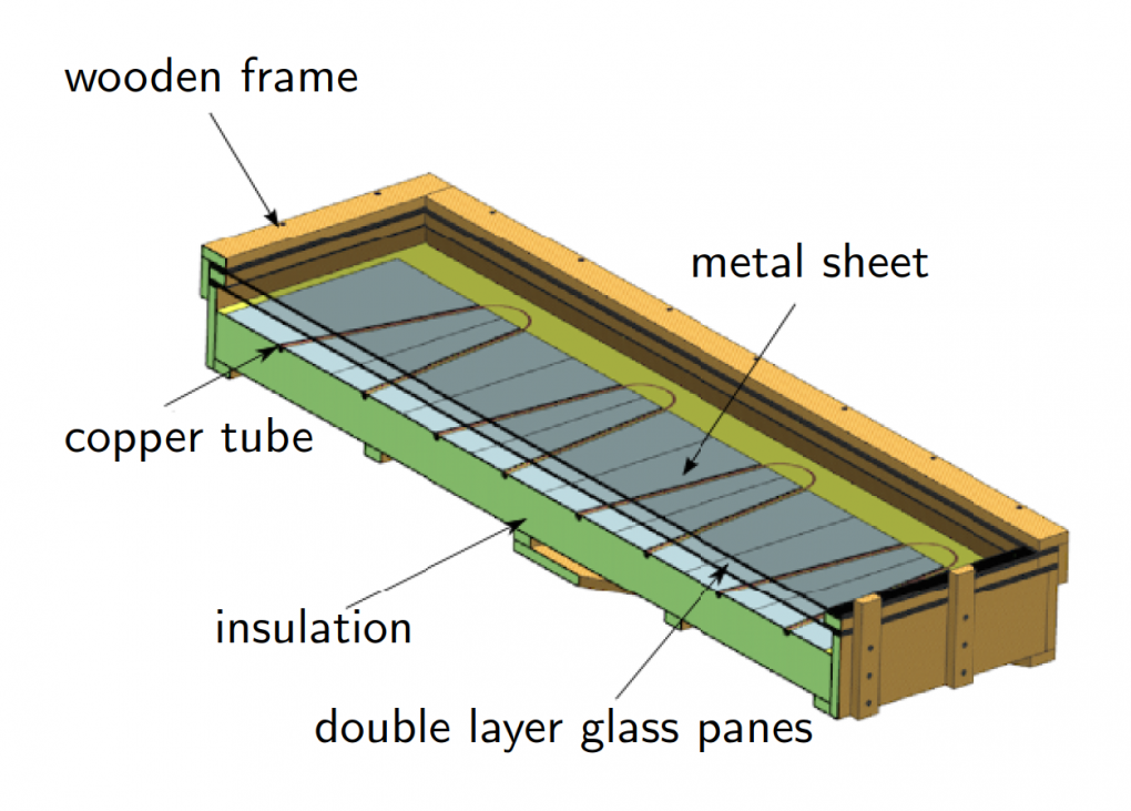 Longitudinal section of the plant