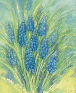 Kaartje Blauwe druifjes