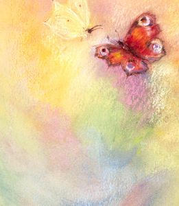 Kaartje Vlinderwereld