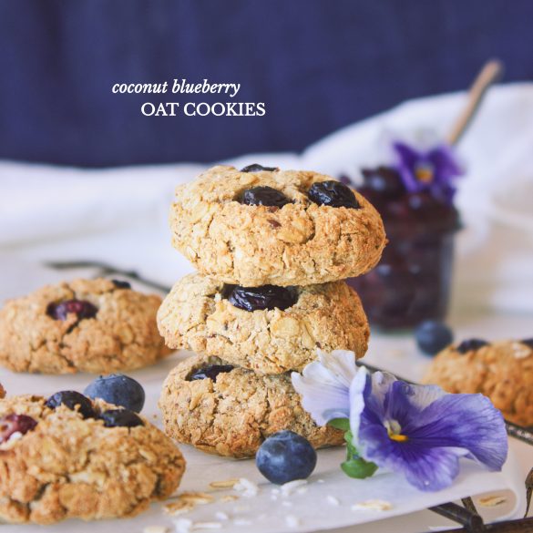 Coconut Blueberry Oat Cookies (Featured)