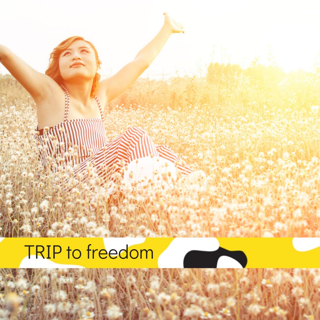 Trip to freedom
