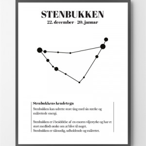 Plakater - Stenbukken - 30x40 cm.