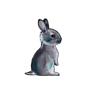 Citatplakat Plakat - A3 - Sweet Bunny