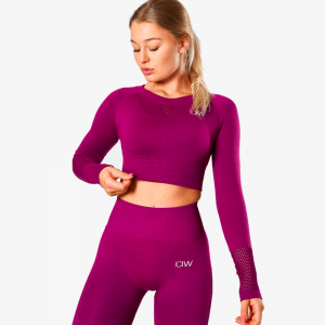ICANIWILL Dynamic Seamless Long Sleeve Crop Top Mulberry Wmn