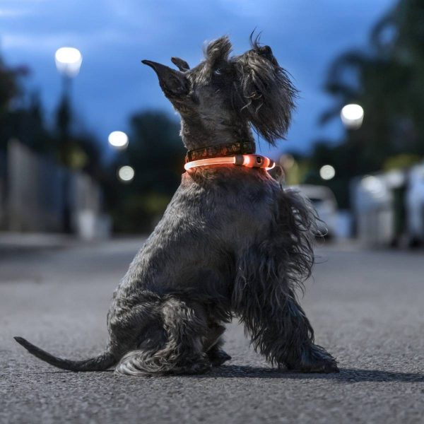 Petlux LED krave til hund / kæledyr