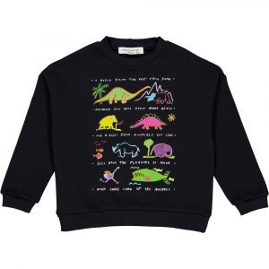 Dinosaur sweatshirt - 128