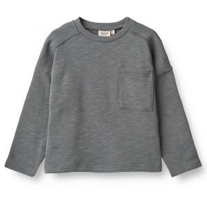Organic Curt sweatshirt (3 år/98 cm)
