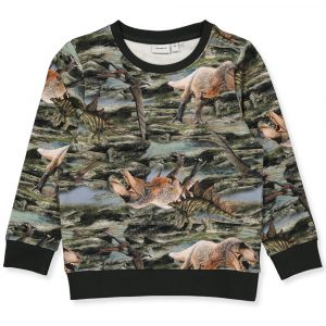 Organic Hino sweatshirt (18 mdr/86 cm)