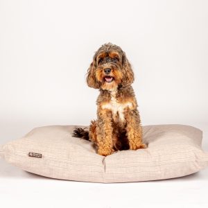 Petcare - Danish Design Duvet Beige L - Dog Beds