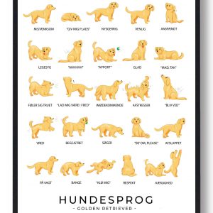 Hundesprog - Golden Retriever plakat (Størrelse: S - 21x29,7cm (A4))