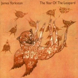 James Yorkston - The Year Of The Leopard - CD