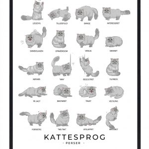 Kattesprog - Perser kat grå plakat (Størrelse: S - 21x29,7cm (A4))