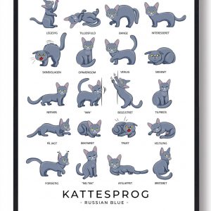 Kattesprog - Russian blue katte plakat (Størrelse: S - 21x29,7cm (A4))