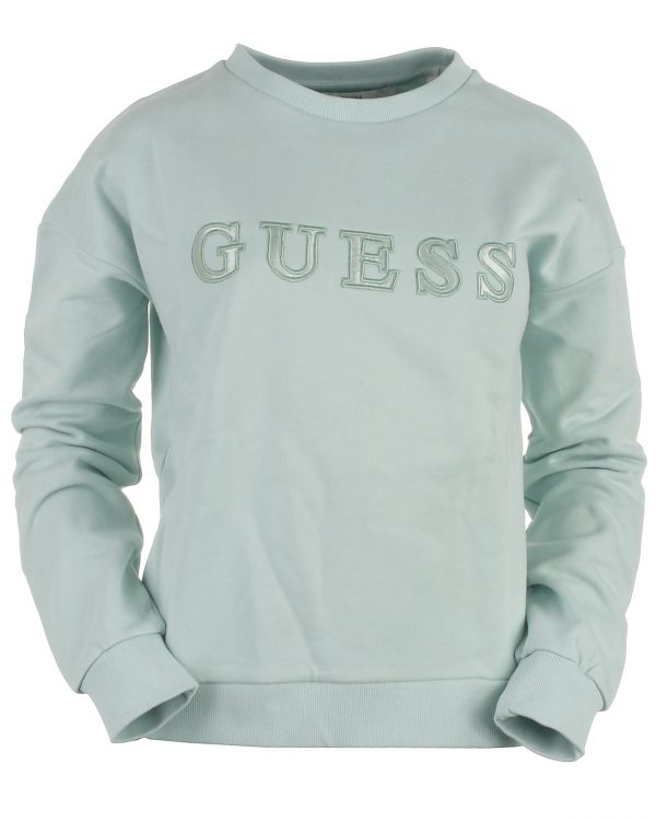 Guess sweatshirt, grøn - 176 - S+ - S