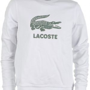 Lacoste sweatshirt, white - 176 - 16år