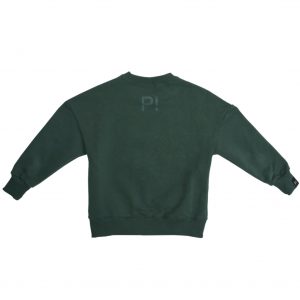 Plaein sweatshirt, Plaein, grøn - 110 - 5år