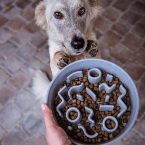 DISTRICT70 slowfeeder til hunde 28 cm bambus isblå