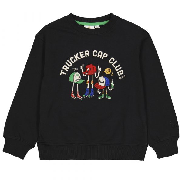 Organic TNJasper sweatshirt (5-6 år)