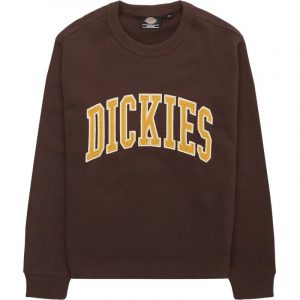 Dickies Aitkin Sweatshirts Brun