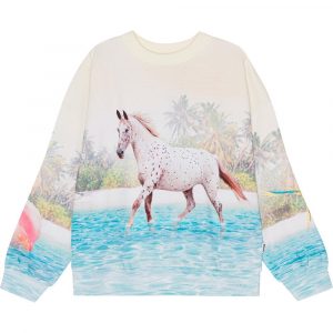 Maxi Sweatshirt, Island Horse, Molo