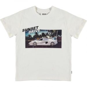 Molo - ROXO T-Shirt - Sunset Drive - 110