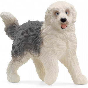 Old English Sheepdog hund