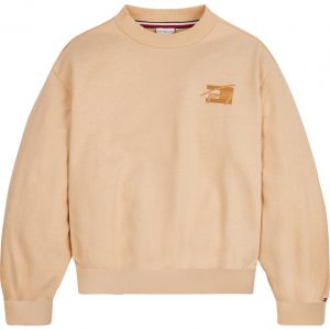 Organic sweatshirt (14 år/164 cm)