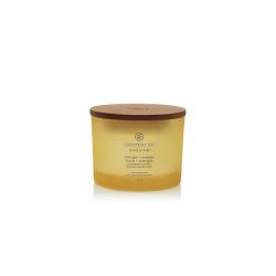 Yankee Candle Pineapple Coconut Strength & Energy - Duftlys