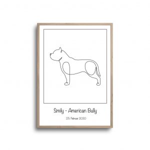 American bully - plakat