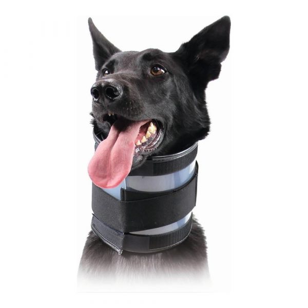 Cervikal krave til hunde KVP Sort (15-53 cm)