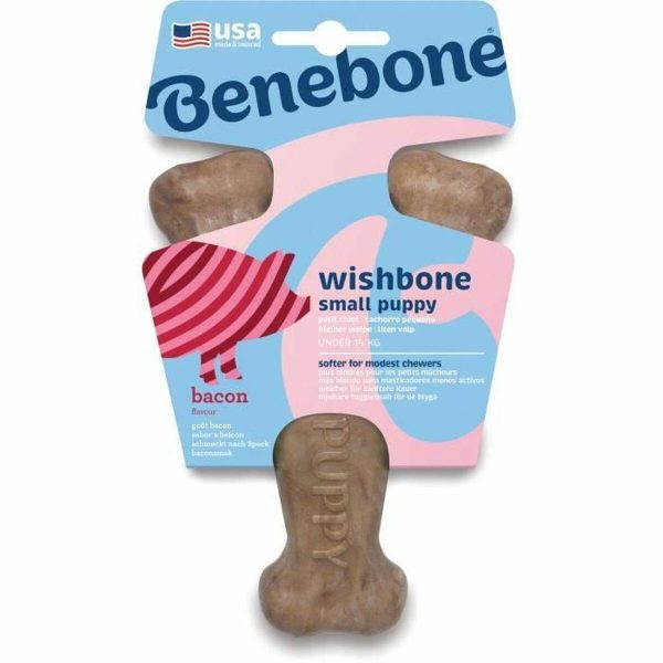 Hund Bidering Benebone Sort dyr