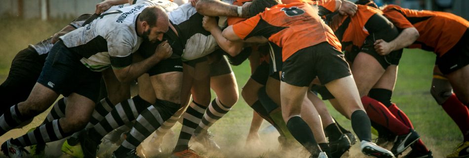 rugby betting odds
