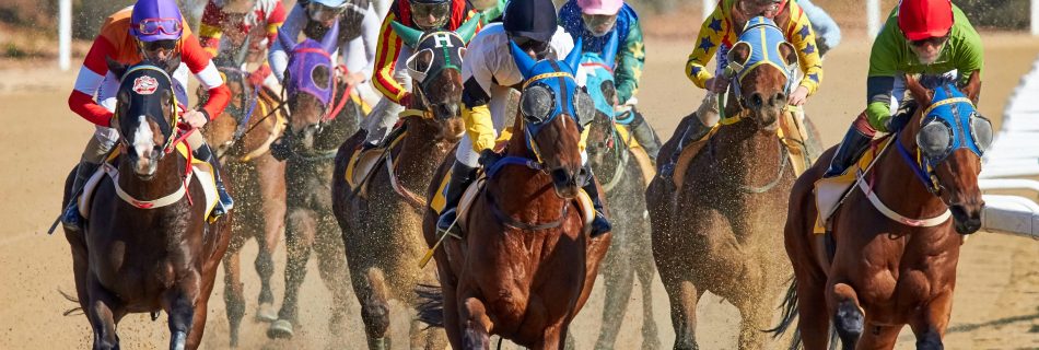 australian horse racing betting