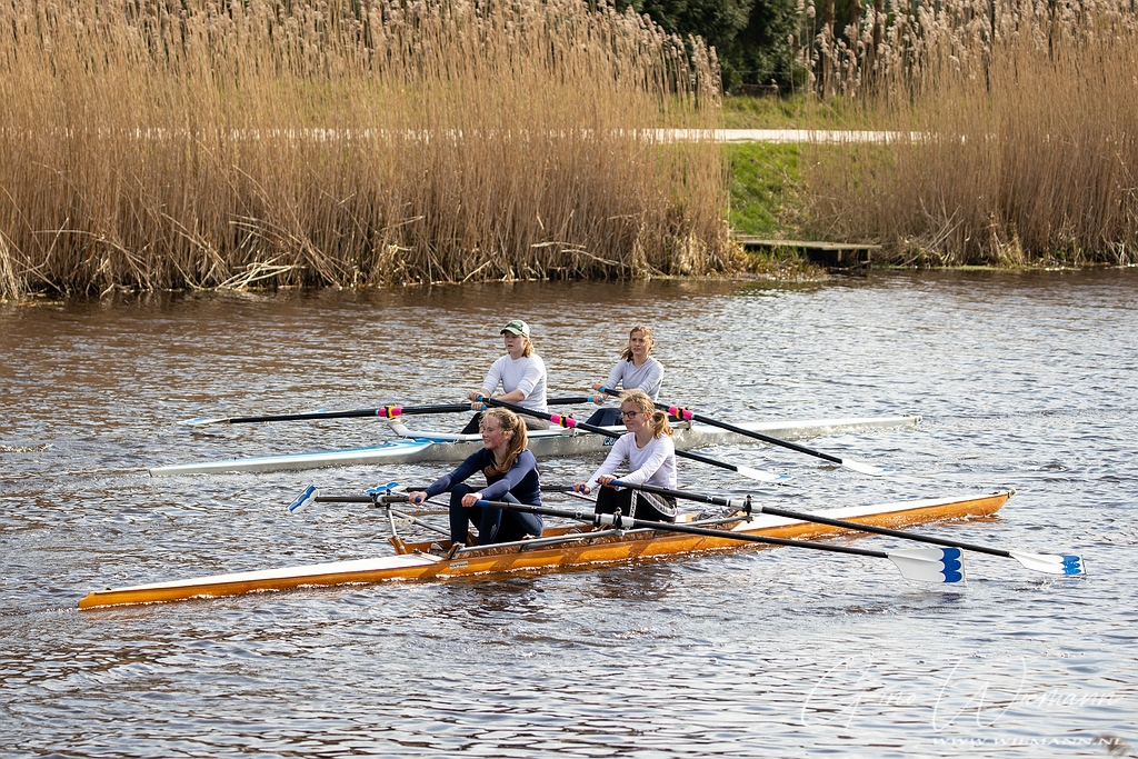 Asserroeiclub aan het trainen